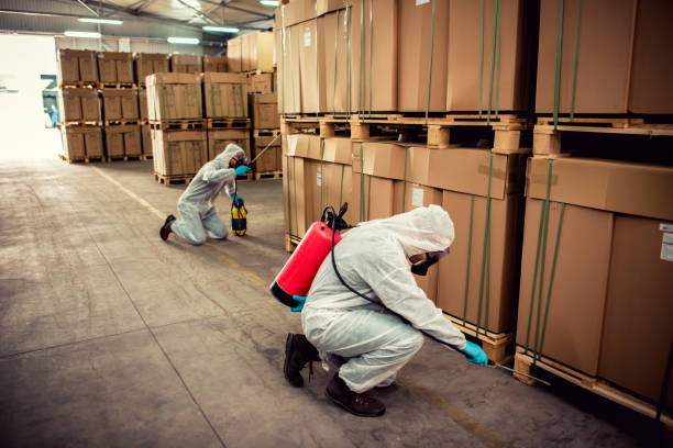 Best Bed Bug Extermination  in Temperance, MI
