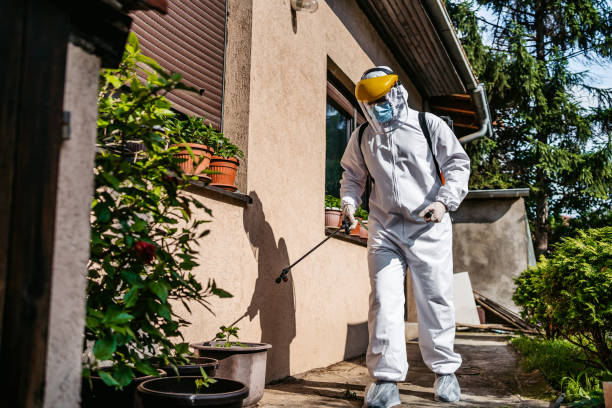 Best Rodent Control Near Me  in Temperance, MI