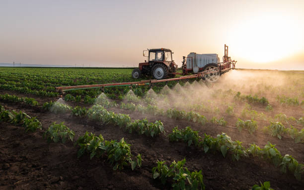 Reliable Temperance, MI Pest Control Solutions