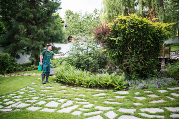 Best Pest Inspection Near Me  in Temperance, MI