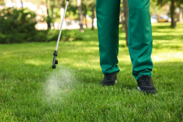 Best Pest Control Near Me  in Temperance, MI