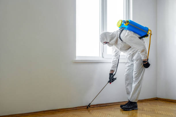 Best Residential Pest Control  in Temperance, MI