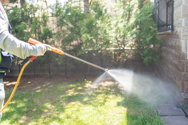 Best Best Pest Control Companies  in Temperance, MI