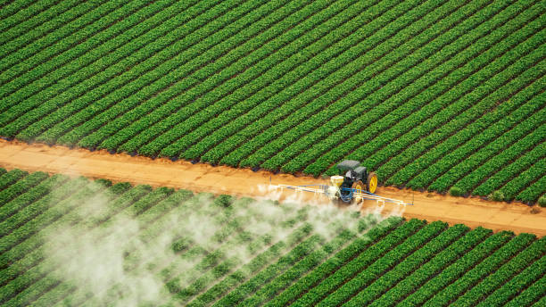 Best Pest Prevention Services  in Temperance, MI