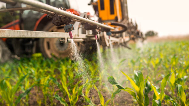 Best Pest Removal Services  in Temperance, MI